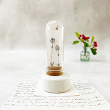 Load image into Gallery viewer, Original Meadow Sketches: Stainless Steel Flower Studs in a Glass Dome