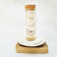 Load image into Gallery viewer, Dainty crystal trio stud earrings in a bottle - 571 - Zamsoe