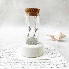 Load image into Gallery viewer, Silver Oar Earrings in a Bottle