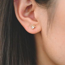 Load image into Gallery viewer, Gold Dog and Paw Print Stud Earrings With a Hand-Drawn Illustration in a Glass Dome.