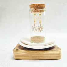 Load image into Gallery viewer, Gold Sun Fish Hook Earrings in a Bottle - Zamsoe