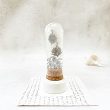 Load image into Gallery viewer, Coral Stud Earrings in a Glass Dome