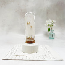 Load image into Gallery viewer, GOLD DOG AND PAW PRINT STUD EARRINGS WITH A HAND-Drawn ILLUSTRATION IN A GLASS DOME