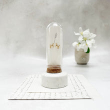 Load image into Gallery viewer, GOLD DOG STUD EARRINGS WITH HAND-ILLUSTRATED WOOF IN A GLASS DOME