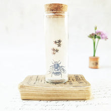 Load image into Gallery viewer, Classic forget me not flower stud earrings in a bottle - style 2 - Zamsoe