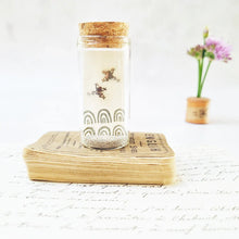 Load image into Gallery viewer, Bold frog stud earrings in a bottle - Zamsoe