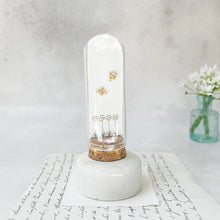 Load image into Gallery viewer, Gold Bee Stud Earrings With Wildflower Illustrations in a Glass Dome.