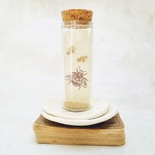 Load image into Gallery viewer, Gold Plated Bee Stud Earrings adorned with Cubic Zirconia Paves in a Bottle. - Zamsoe
