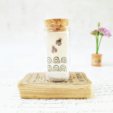 Load image into Gallery viewer, Bold ladybird stud earrings in a bottle - Zamsoe