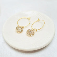 Load image into Gallery viewer, Gold Plated North Star Crystal Hoop Earrings - Zamsoe