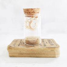 Load image into Gallery viewer, Sunbeam Gold Earrings Presented in a Bottle - 806 - Zamsoe