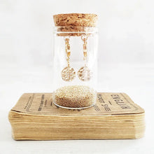 Load image into Gallery viewer, Gold Plated North Star Crystal Earrings in a Bottle - 800 - Zamsoe