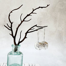Load image into Gallery viewer, Sand Dollar Oval Hoops in a Keepsake Bottle