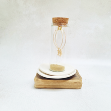 Load image into Gallery viewer, Gold Seahorse Oval Hoop Earrings in a Bottle - Zamsoe
