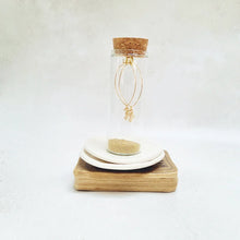 Load image into Gallery viewer, Gold Seahorse Oval Hoop Earrings in a Bottle - Zamsoe