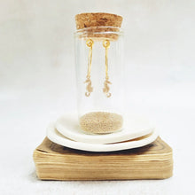 Load image into Gallery viewer, Gold Plated Seahorse Hoop Earrings. - Zamsoe