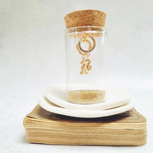 Load image into Gallery viewer, Gold Seahorse Huggie Earrings in a bottle - Zamsoe