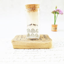 Load image into Gallery viewer, Sweet Squirrel stud earrings in a bottle - Zamsoe