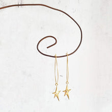 Load image into Gallery viewer, Gold Star with Crystal Oval Hoop Earrings in a Bottle - Zamsoe