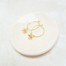Load image into Gallery viewer, Gold Plated Starfish Hoop Earrings. - Zamsoe