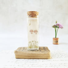 Load image into Gallery viewer, Classic tree of hearts stud earrings in a bottle - Zamsoe