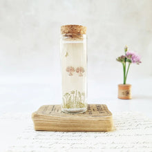 Load image into Gallery viewer, Classic tree of hearts stud earrings in a bottle - Zamsoe