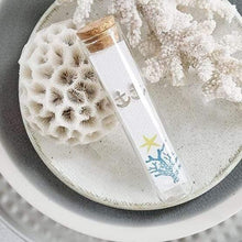 Load image into Gallery viewer, Anchor Silver Plated Stud Earrings in a Bottle - 37 - Zamsoe