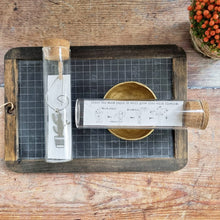 Load image into Gallery viewer, Cactus and Stripy Pot swirl Pin - 80 - Zamsoe