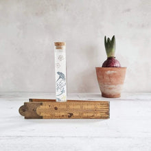 Load image into Gallery viewer, Daisy Flower Silver Plated Stud Earrings in a Bottle - 115 - Zamsoe