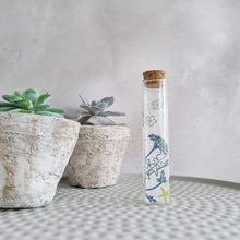 Load image into Gallery viewer, Daisy Flower Silver Plated Stud Earrings in a Bottle - 115 - Zamsoe