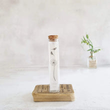 Load image into Gallery viewer, Sterling silver bird stud earrings in a bottle - Zamsoe