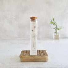 Load image into Gallery viewer, Sterling silver shell stud earrings in a bottle - Zamsoe