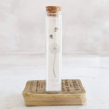 Load image into Gallery viewer, Sterling silver shell stud earrings in a bottle - Zamsoe