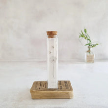 Load image into Gallery viewer, Sterling silver starfish stud earrings in a bottle - Zamsoe