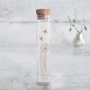 Sterling silver starfish stud earrings in a bottle