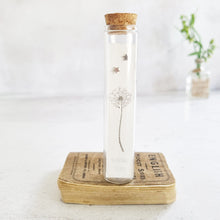 Load image into Gallery viewer, Sterling silver star stud earrings in a bottle - Zamsoe