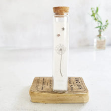 Load image into Gallery viewer, Sterling silver star stud earrings in a bottle - Zamsoe