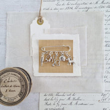 Load image into Gallery viewer, Vet Brooch - Zamsoe