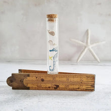 Load image into Gallery viewer, Whale Silver Plated Stud Earrings in a Bottle - Zamsoe