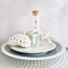 Load image into Gallery viewer, Whale Tail Silver Plated Stud Earrings in a Bottle - Zamsoe