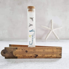 Load image into Gallery viewer, Whale Tail Silver Plated Stud Earrings in a Bottle - Zamsoe