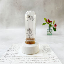 Load image into Gallery viewer, Original Meadow Sketches: Stainless Steel Bird &amp; Twig Studs in a Glass Dome
