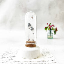 Load image into Gallery viewer, Original Meadow Sketches: Stainless Steel Forget-Me-Not Studs in a Glass Dome
