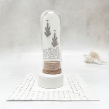 Load image into Gallery viewer, Holey Seaweed Stud Earrings in a Glass Dome
