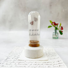 Load image into Gallery viewer, Original Meadow Sketches: Stainless Steel Ladybird Studs in a Glass Dome
