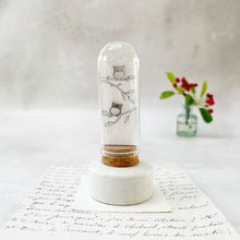 Load image into Gallery viewer, Original Meadow Sketches: Stainless Steel Owl Studs on Hand-Drawn Branches
