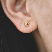 Load image into Gallery viewer, Gold daisy flower stud earrings in a bottle
