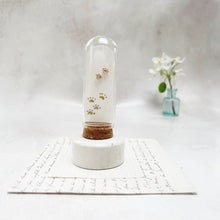 Load image into Gallery viewer, Gold Paw Print Stud Earrings With a Hand-Drawn Illustration in a  Glass Dom

