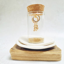 Load image into Gallery viewer, Gold Seahorse Huggie Earrings in a bottle
