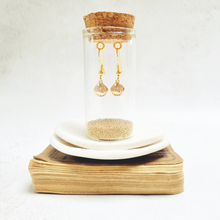 Load image into Gallery viewer, Gold Seashell Fish Hook Earrings in a Bottle
